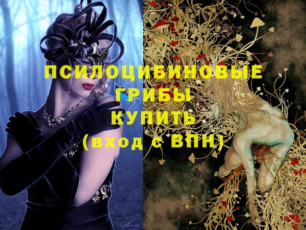 винт Бородино